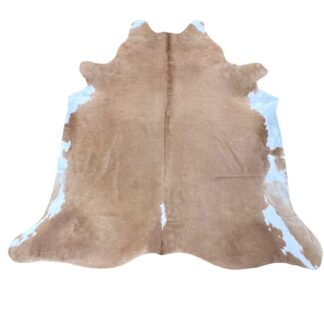 CR-3 Beige (383)