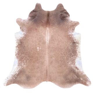 CR-3 Beige & White (176)