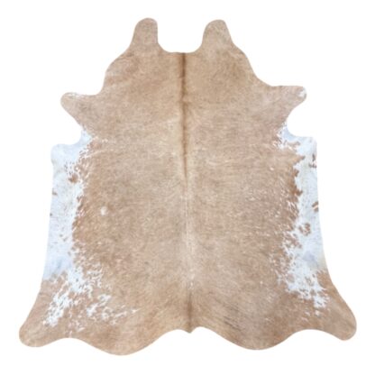 CR-3 Beige Rug (98)